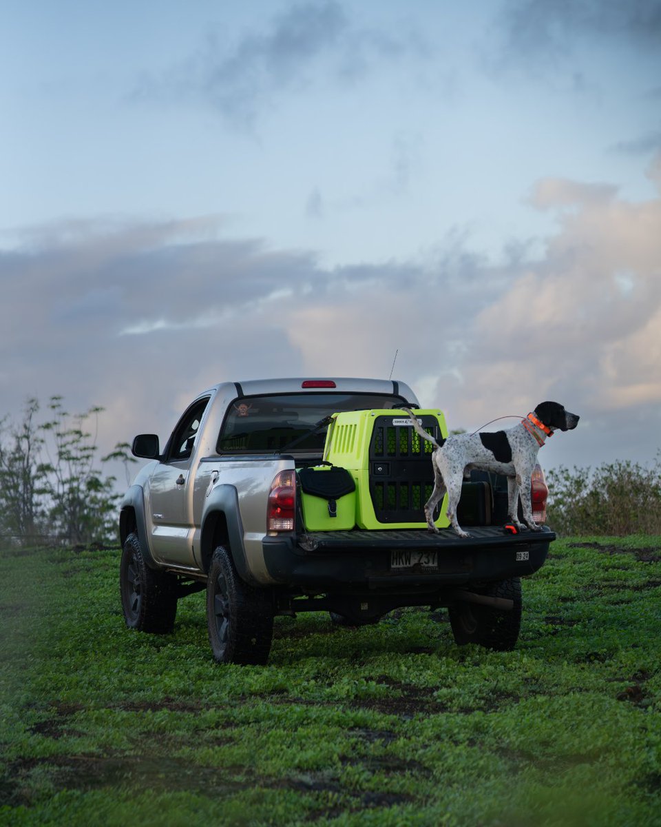 COLOR FETCH FULL COLLECTION 🙌