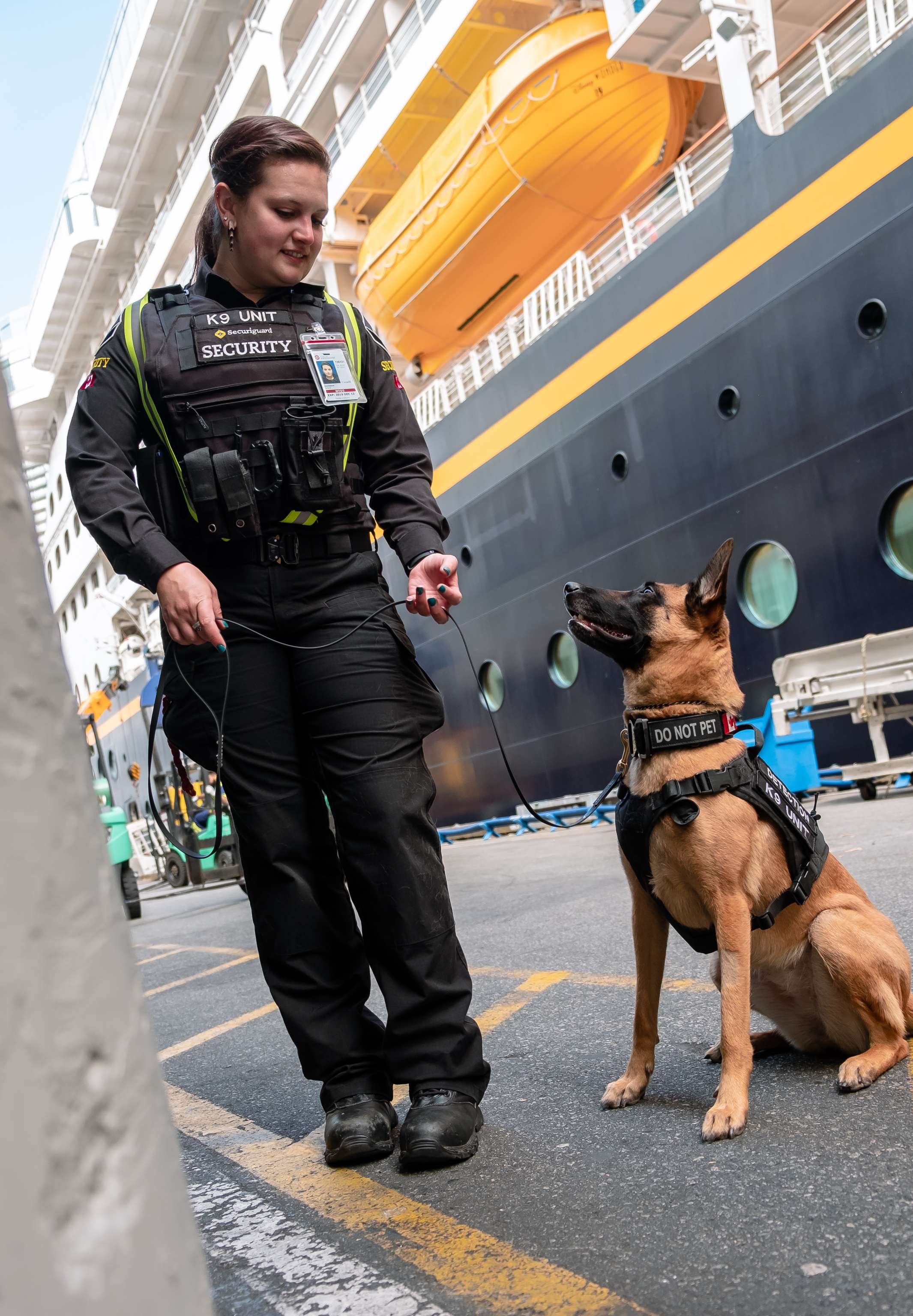 Securiguard k9 hotsell