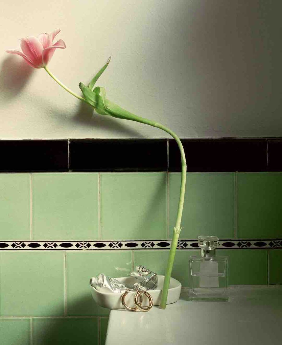 SVAContinued's tweet image. 🌿 Selects from social media photo expert @mollymatalon. Check out her course 🌞 Practicing Artist on Social Media (PHC-3544-OL), see all upcoming courses and/or register for this one at SVA.edu/ce 💖 #photocourse #socialmedia #socialmediamarketing #branding