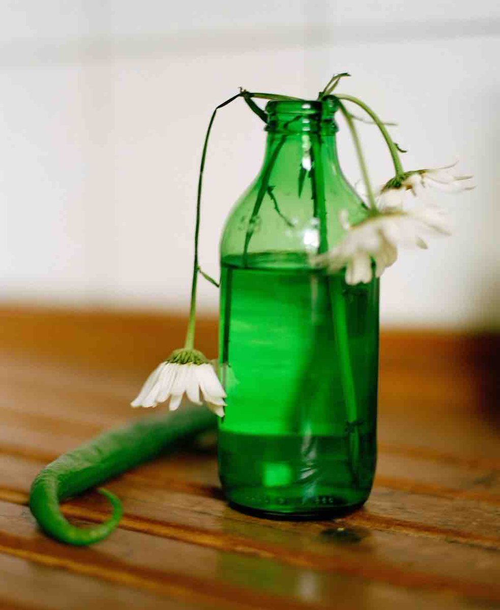 SVAContinued's tweet image. 🌿 Selects from social media photo expert @mollymatalon. Check out her course 🌞 Practicing Artist on Social Media (PHC-3544-OL), see all upcoming courses and/or register for this one at SVA.edu/ce 💖 #photocourse #socialmedia #socialmediamarketing #branding