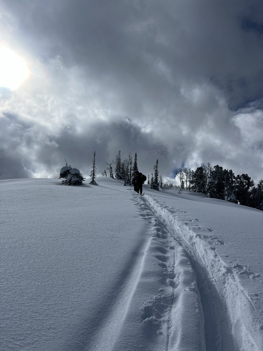 Skin up #parkcity