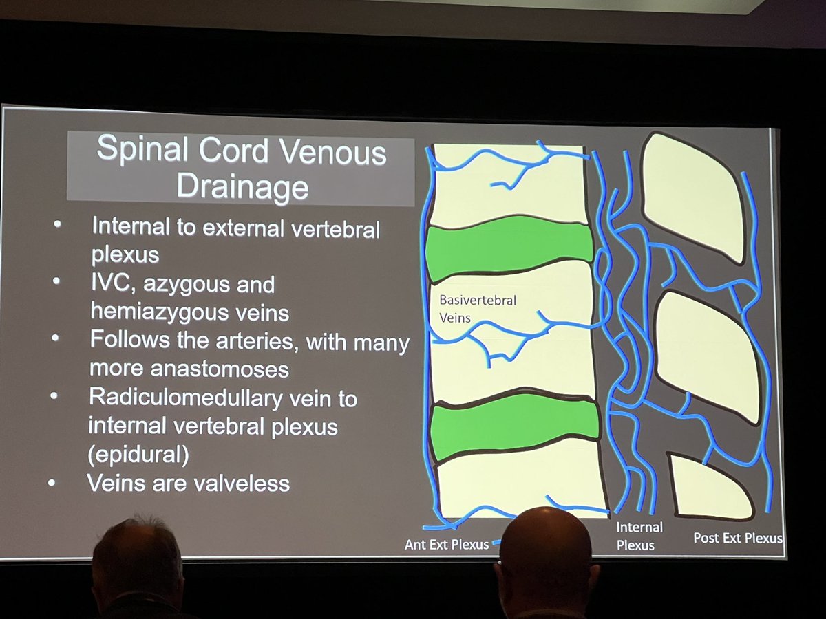 American Society of Spine Radiology (ASSR) (@the_assr) on Twitter photo Starting us off this morning at #ASSR24 <a href="/Miriam_Peckham/">Miriam Peckham</a> with Spine Vascular Anatomy
<a href="/WendeNGibbs/">Wende Gibbs</a> <a href="/amandaebaker/">Amanda Baker, MD</a> <a href="/AmishDoshiMD/">Amish Doshi</a> <a href="/KSeifertMD/">Kim Seifert, MD, MS</a> Starting us off this morning at #ASSR24 <a href="/Miriam_Peckham/">Miriam Peckham</a> with Spine Vascular Anatomy
<a href="/WendeNGibbs/">Wende Gibbs</a> <a href="/amandaebaker/">Amanda Baker, MD</a> <a href="/AmishDoshiMD/">Amish Doshi</a> <a href="/KSeifertMD/">Kim Seifert, MD, MS</a>