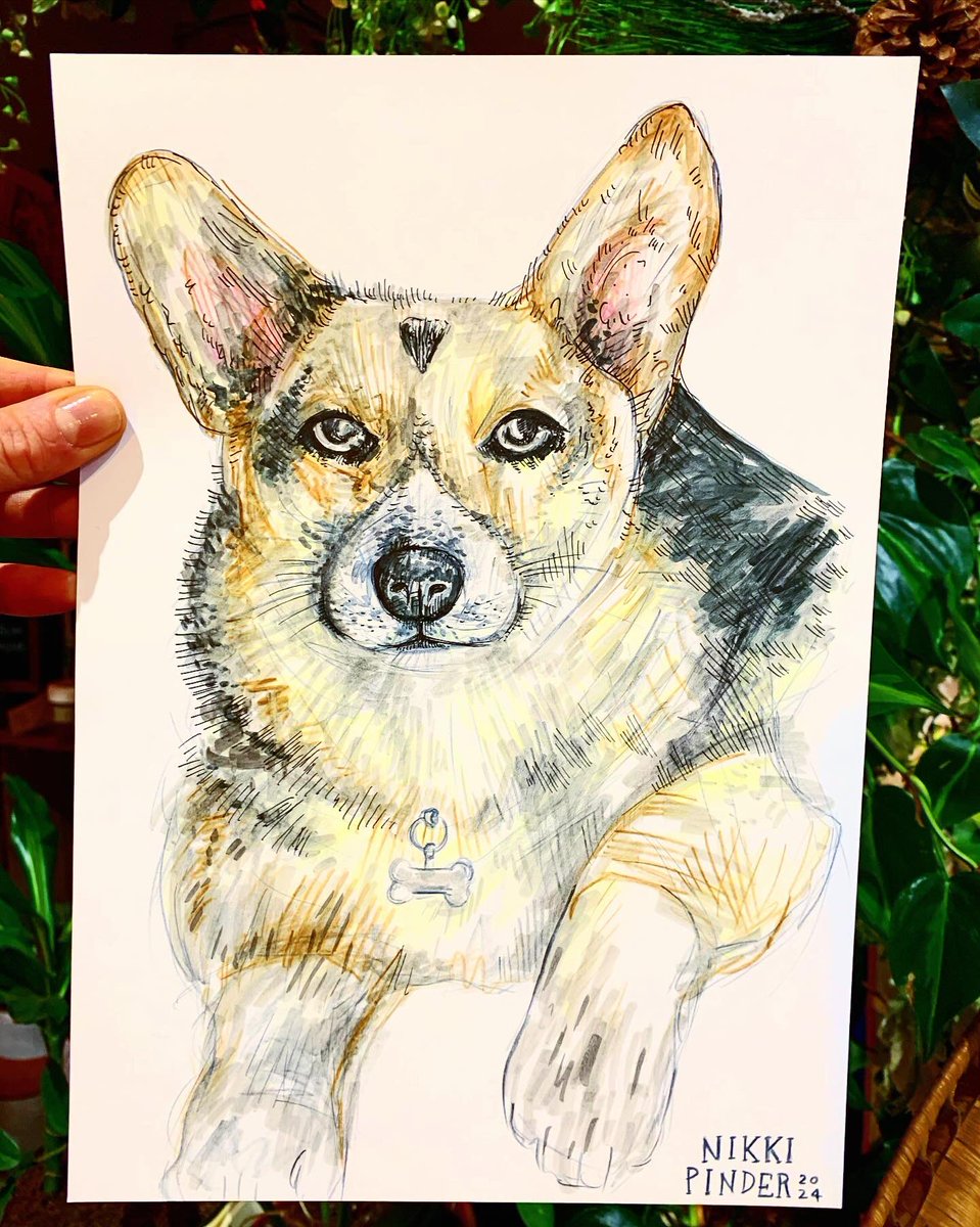 NikkiPinder's tweet photo. Percy the Corgi drawn at @TheFlowerCupCH1
#dogportrait #corgi #chesteraidtothehomeless #dogportraits #drawingdogs #pencilcrayon #dogs #inkdrawing #dog #cute #puppy #crosshatching #colourful #ink #bestfriend #pet #fineliner #fineliners #dogsofinstagram #tail #dogs #drawing #art https://t.co/cjXMiHq9vG