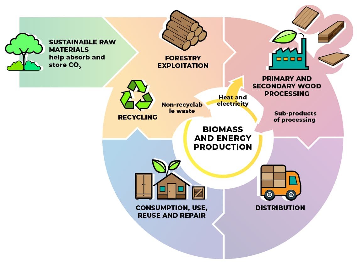 ro66901's tweet image. 🍃 From Waste to Energy: The Role of Biomass in a Circular Economy 🌿 Explore how biomass energy is turning organic waste into renewable power sources! #Biomass #CircularEconomy