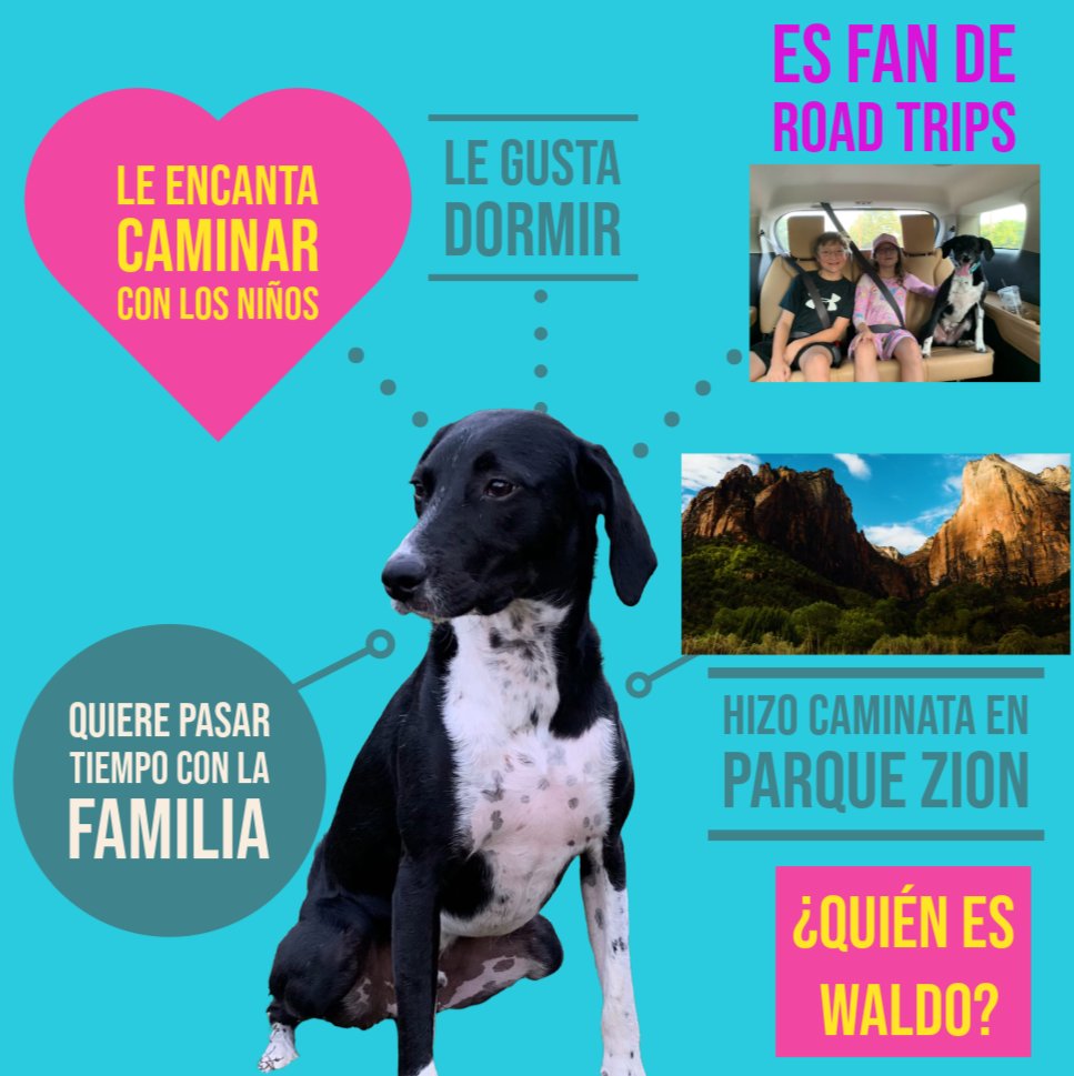 Gracias <a href="/misty2shea/">Misty Shea🎨🖌#AdobeEduCreative</a> for teaching us #AdobeEduCreative  
#TheCreekIsRising <a href="/TimberCreek_HS/">Timber Creek High School</a>  
<a href="/KISDWorldLangs/">@KISDWorldLangs</a>