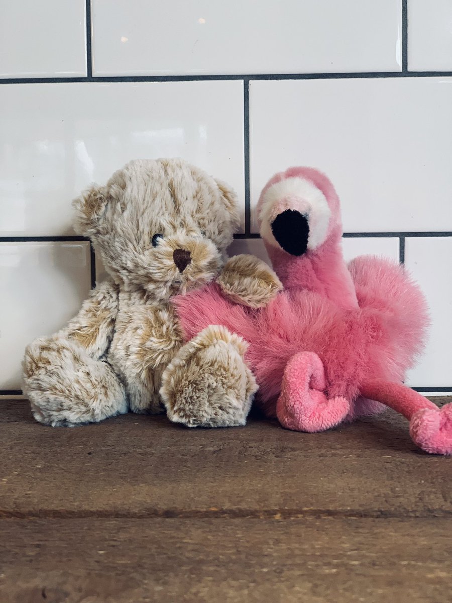 Lost and found at our Bicester Village site. Confused, but in good health ready for collection.