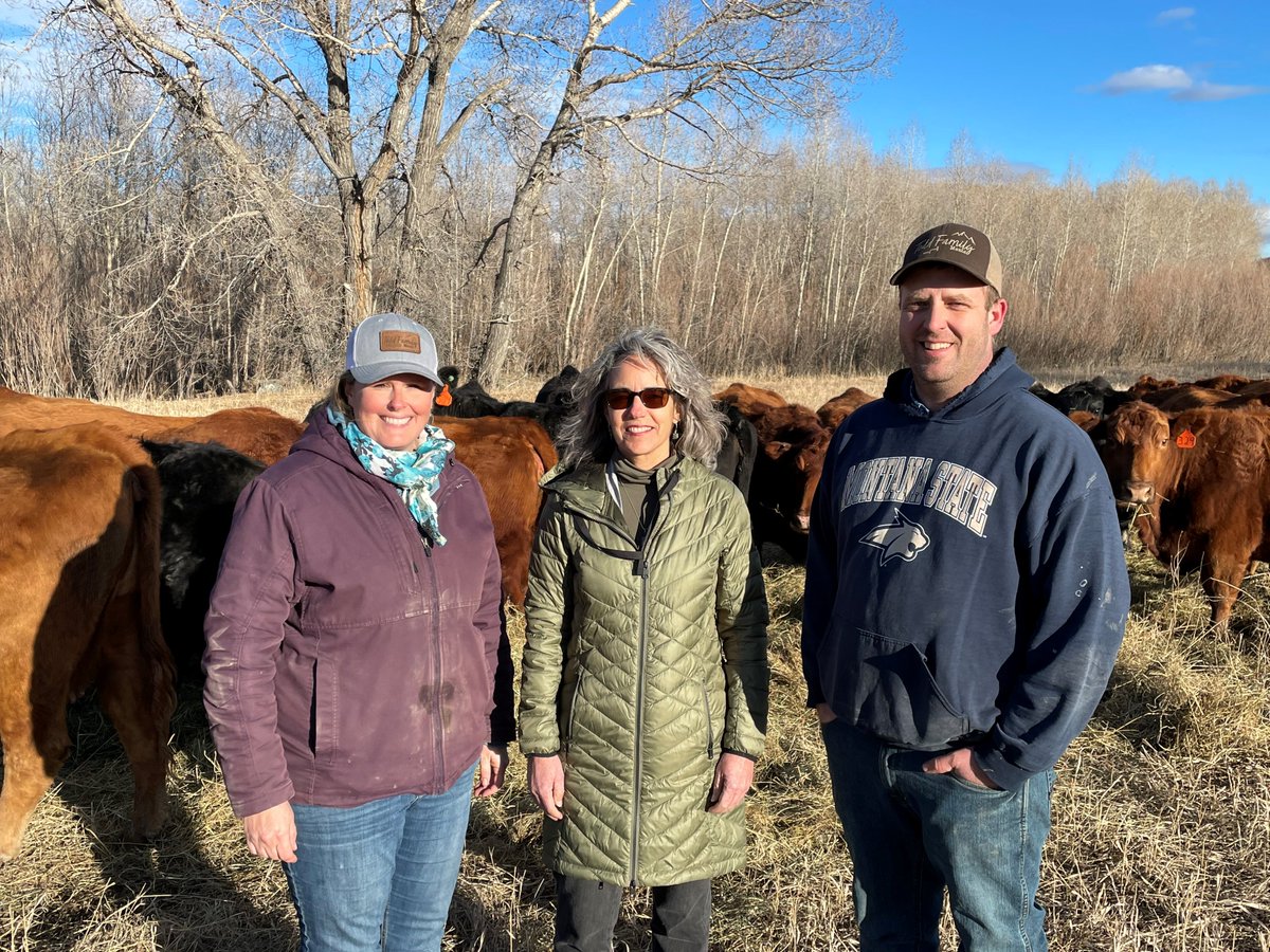 Good morning, Montana🌞Todd Family Meats near Big Timber is a 1st gen family ranching operation that produces a variety of processed beef and lamb products. Learn how an @usdaRD Value-Added Producer Grant helped grow their small business. Read more at tinyurl.com/695zt7tt