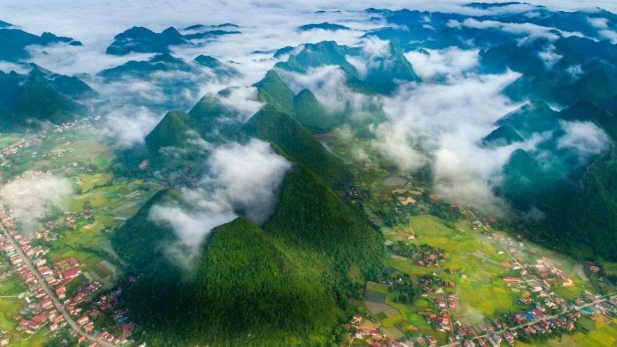 vanessa Horgan tweet media