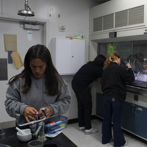 At the end of the year, Students attend a capstone gallery walk. The capstone gallery walk is a way for local businesses and community members to see students' work which can even potentially lead to job opportunities.