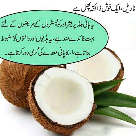 Narial , coconut benefits

#organiceats #coconutbenefits #coconutwater #coconut #coconutoil #coconutgrove #bonestrength#teethstrengthening#highbloodpressure #highbloodpressuretreatment