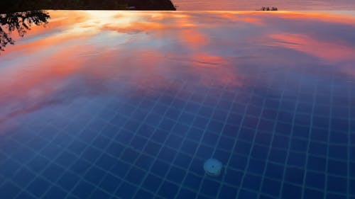 Tânia Marques tweet media