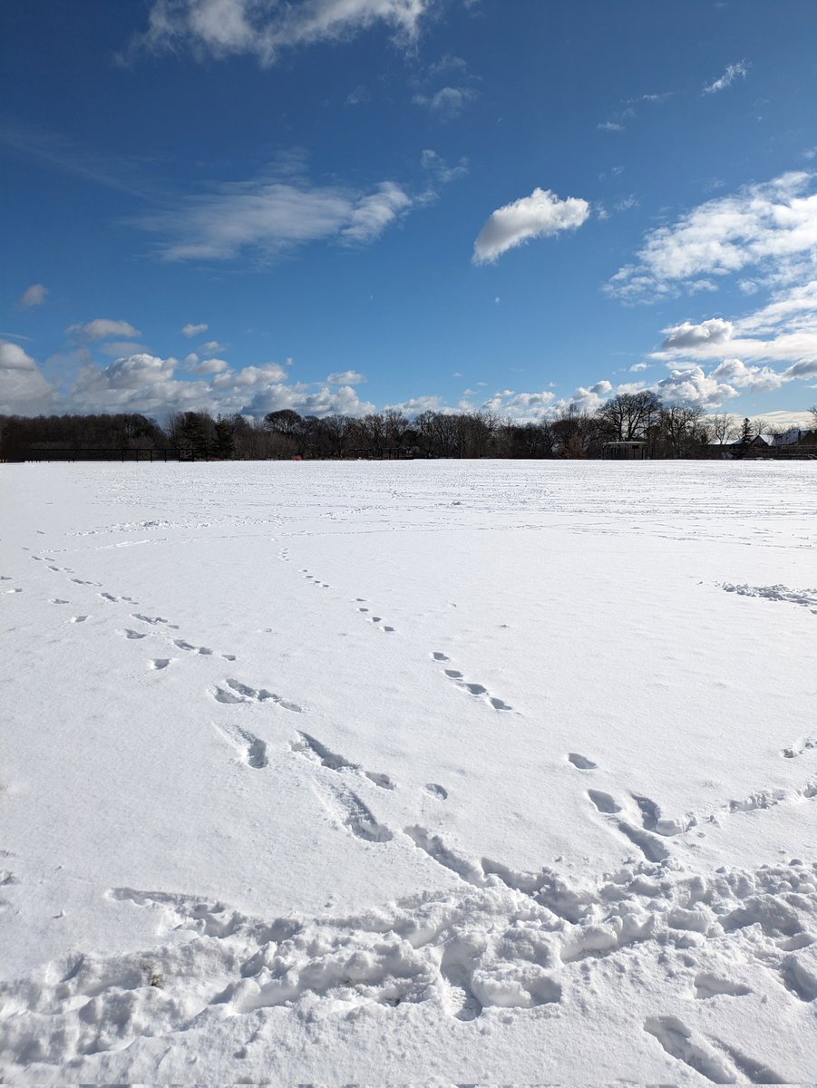 Another good day 😌