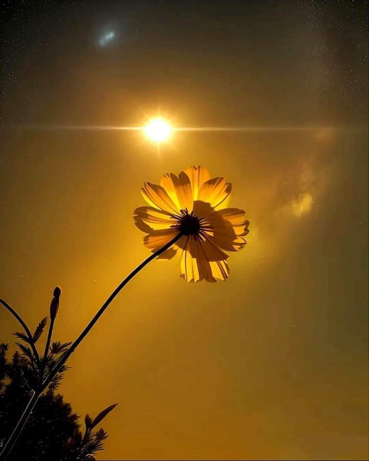 لا يوجد ٲجمل من شُعور التجاوز 
تجاوز الظنون  تجاوز المشاعر  تجاوز الفترات و المواقف ، و حتى تجاوز الأشخاص اشخاص كانوا بيومٍ كل شيءٍ بالنسبة لك فخذلوك فتجاوزتهم كأعمدة إنارة مُنطفئة بنهارٍ مُضيء