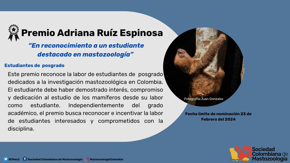 SCMas2's tweet photo. 🦥Dentro de los actividades que se llevarán a cabo en el próximo congreso colombiano de mastozoología, se realizará la premiación de diferentes estudiantes e investigadores que han dedicado su esfuerzo en la investigación de los mamíferos del país. https://t.co/a18zrHjo3F
