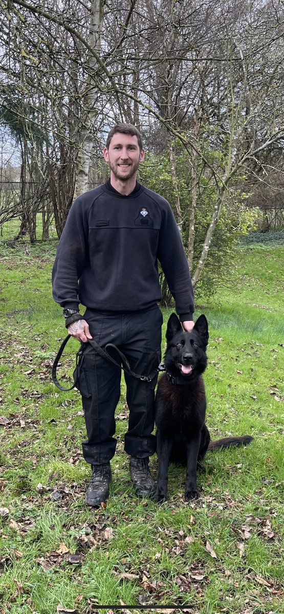 DogsHmpps's tweet image. Congratulations to GPD Louis and his handler passing his initial course and assessment today at @hmpbelmarsh with flying colours. This team will be working at @HMP_Woodhill 👏🏻👏🏻 #workingdog #prisondogs #MOJ #HMPPS