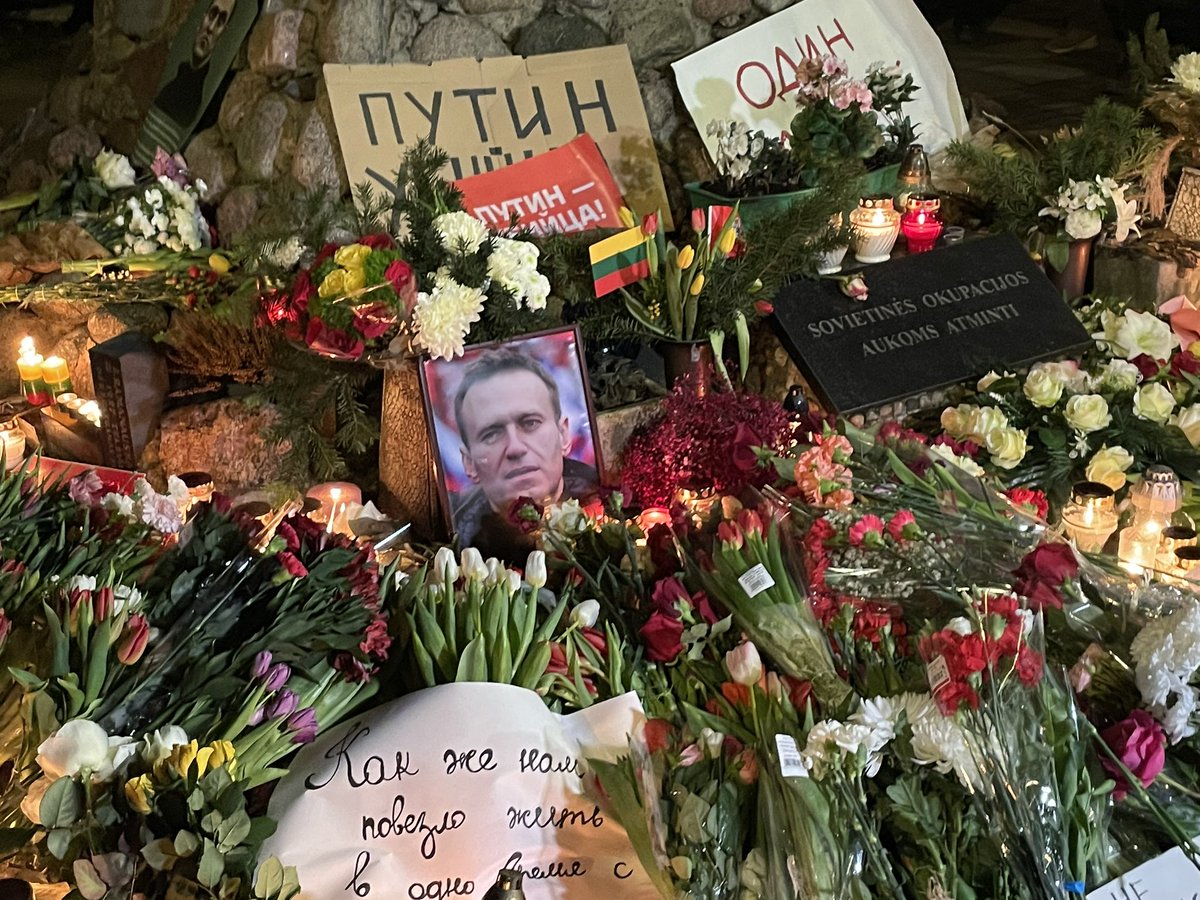 lcshtn's tweet image. это выглядит сюрреалистично