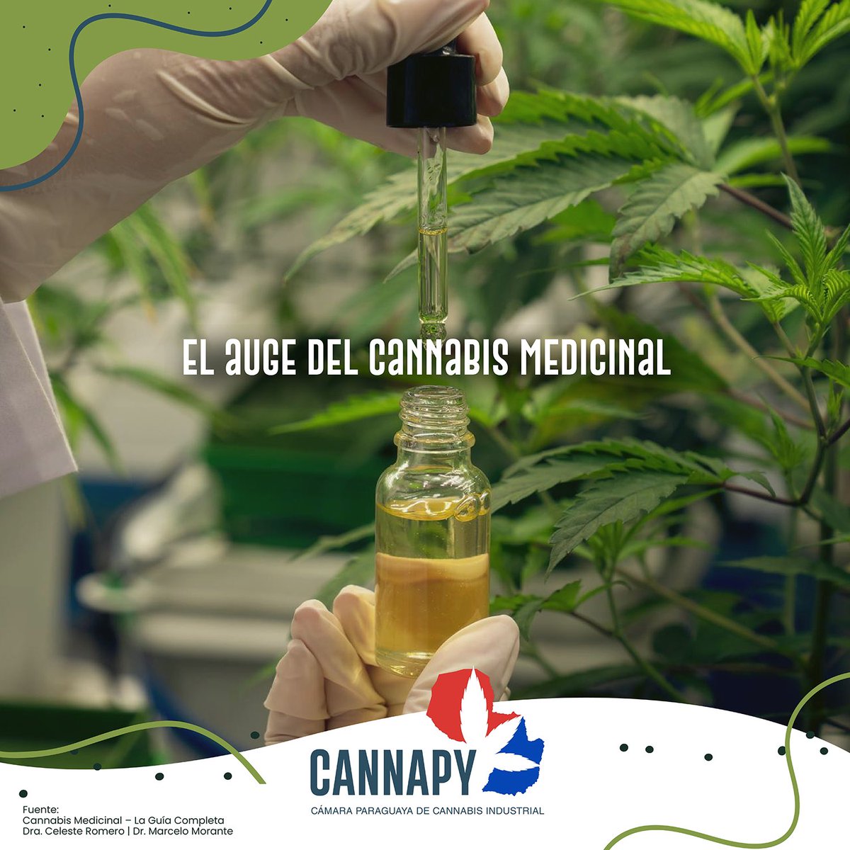 Cannapy_'s tweet photo. El cannabis medicinal fue afianzándose con el paso del tiempo en diferentes culturas y épocas. Su notoriedad fue en aumento hasta llegar a posicionarse como uno de los ingredientes más utilizados en los preparados herbolarios. 

#CannaPy https://t.co/wAw2sffHId