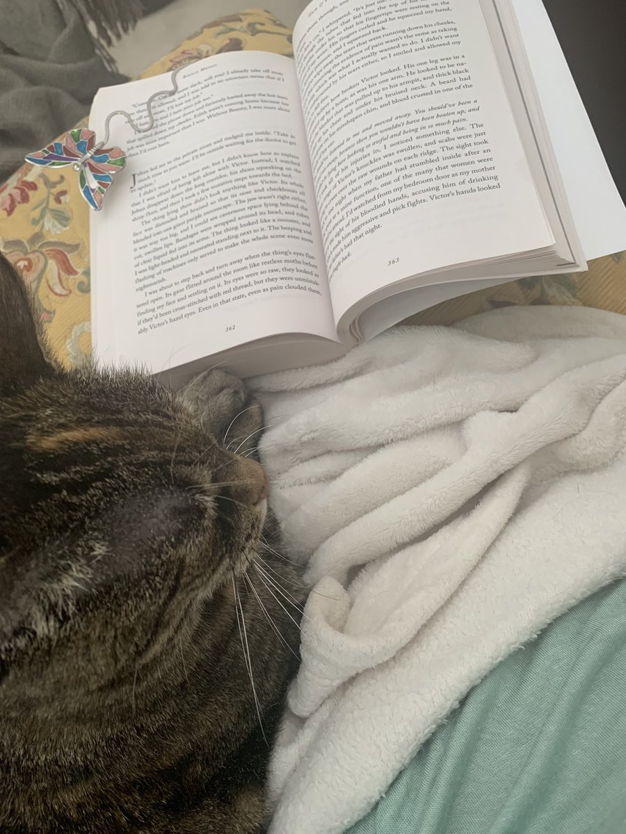 Covid sucks…but a good book and a sweet cat help ease the pain!
#amreading #amwriting #WFWA #WritingCommmunity