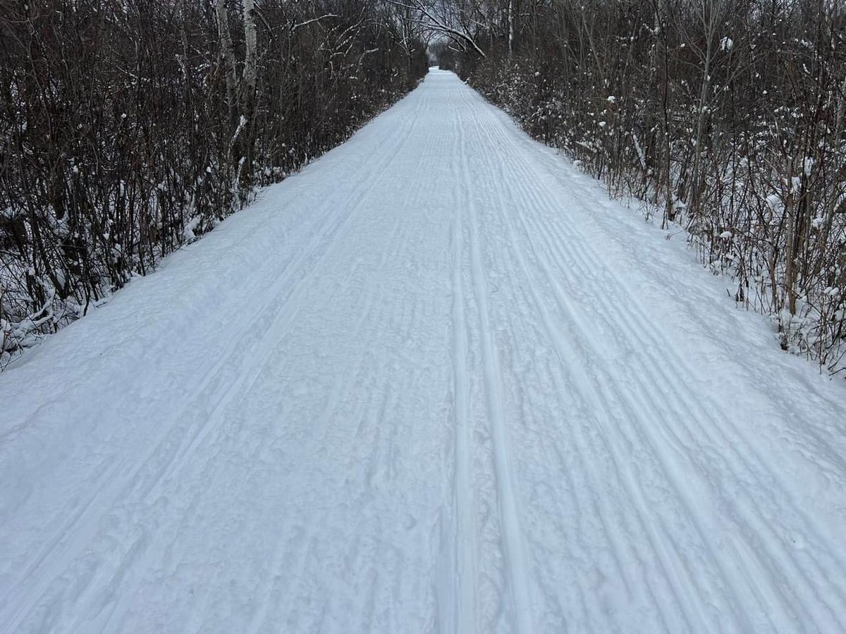 Grooming in progress