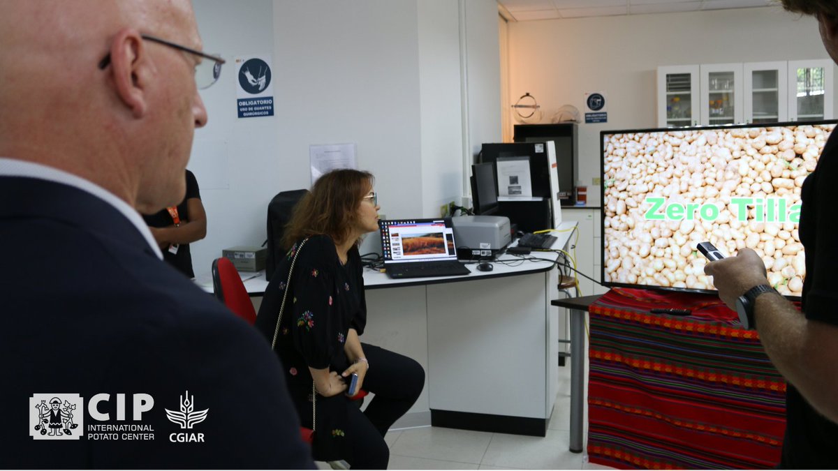 Cipotato's tweet photo. Through zero till and low-cost field testing for viruses, CIP’s Regenerative Agriculture efforts were on full display for @CGIAR_EMD. 

These innovations balance productivity and environmental stewardship, ensuring sustainable agriculture 🌱 for generations to come.

🔸 @CGIAR https://t.co/xi4gRI2Nq6
