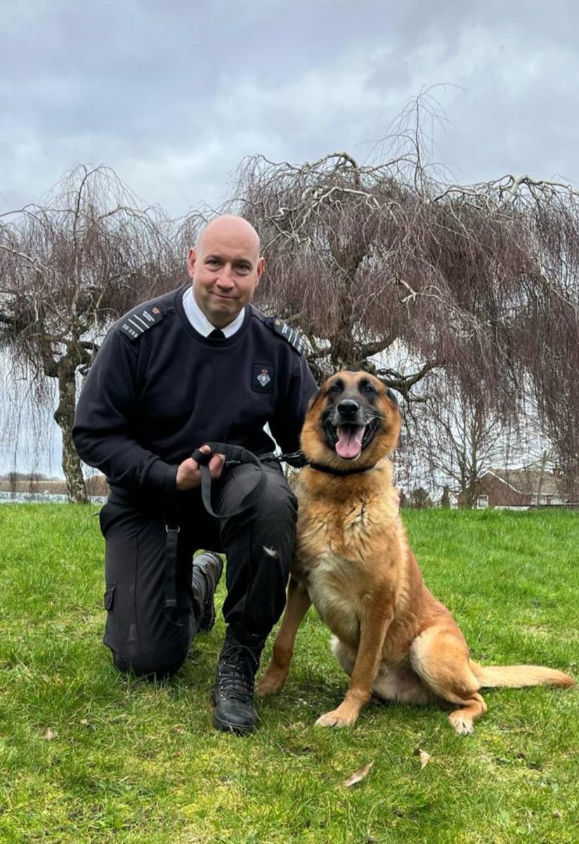 DogsHmpps's tweet image. Last but not least we have GPD Judge, GPD Sirus and GPD Zenna  and their handlers all Passing their annual assessments today at @hmpbelmarsh. Congratulations to all of you 👏🏻👏🏻 #workingdog #prisondogs #HMPPS #MOJ