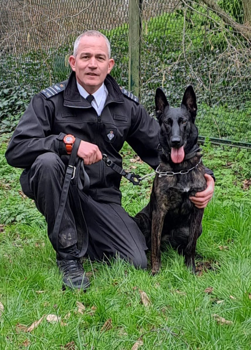 Last but not least we have GPD Judge, GPD Sirus and GPD Zenna and their handlers all Passing their annual assessments today at @hmpbelmarsh. Congratulations to all of you 👏🏻👏🏻 #workingdog #prisondogs #HMPPS #MOJ