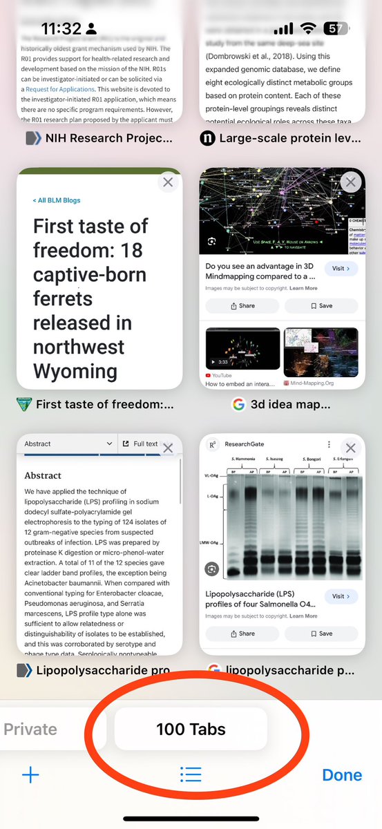 JoshLummus's tweet photo. I promise that I’m going to eventually read all of these tabs… I promise… https://t.co/UPs2hfJBQZ