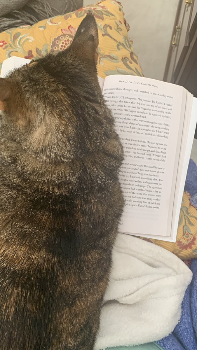 Nin needed a closer look at Bianca Marais’ HUM IF YOU DON’T KNOW THE WORDS, which is fabulous #amreading #WFWA #amwriting #WritingCommmunity