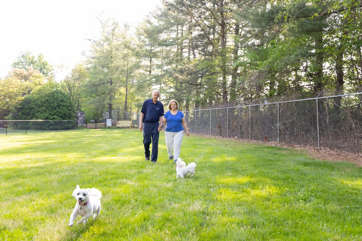 WhiteStoneCCRC's tweet photo. There are many benefits to walk! https://t.co/rkK1uuFQdd