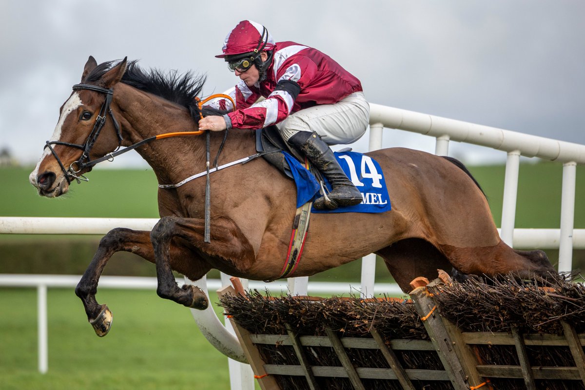 Just how good is MAUGHREEN? 👀

Well, The Lord Maid (the horse that finished third behind her on debut) won by 11 lengths yesterday 😮