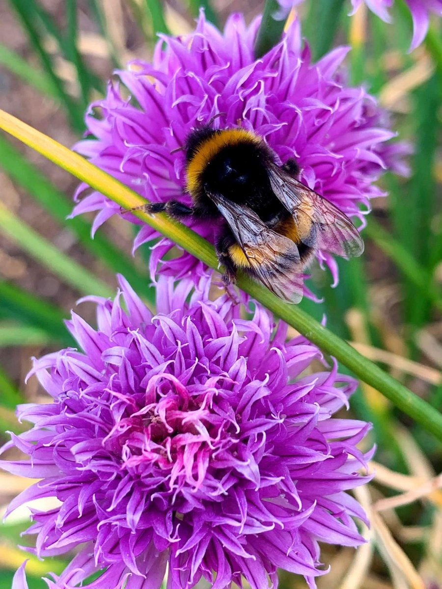 Lee Wood tweet media