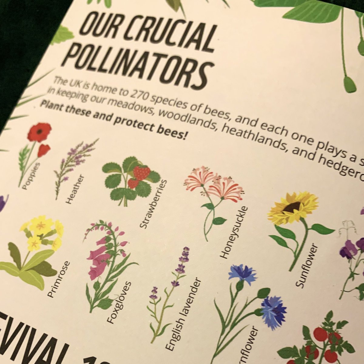 Lee Wood tweet media