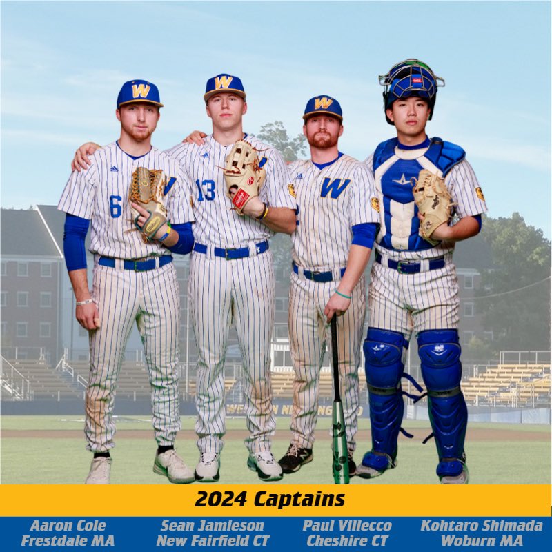 WNE Baseball tweet media