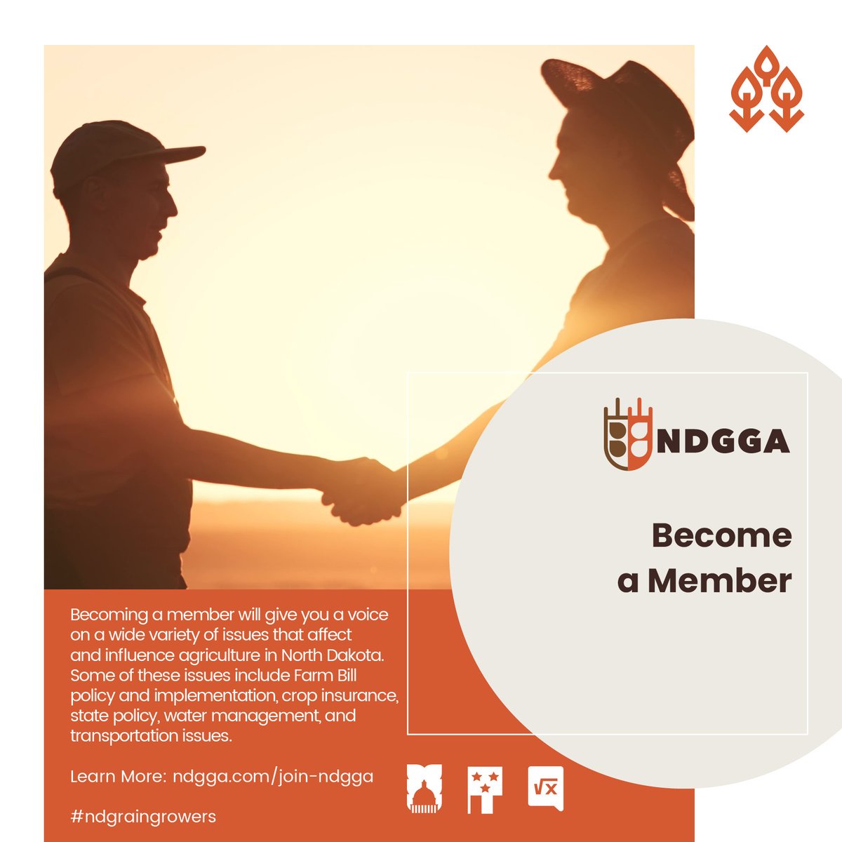 NDGrainGrowers's tweet photo. Becoming a NDGGA member will give you a voice on a wide variety of issues that affect and influence agriculture in North Dakota. Join today!

Learn More:
https://t.co/eFVmQeAv3g

#ndgraingrowers https://t.co/y9BVEhD8MD