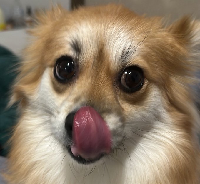 POV you have food https://t.co/PAsCfRb7FA