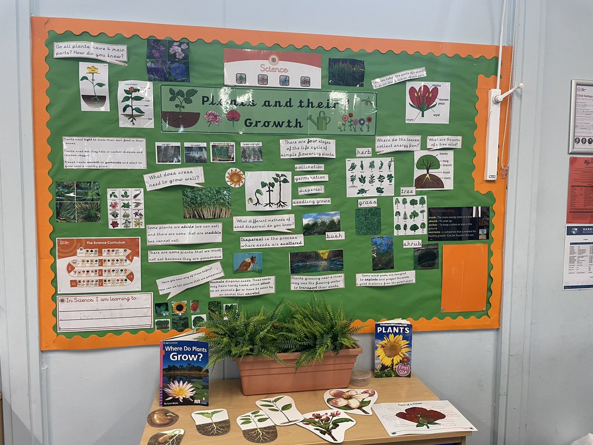 missk_reynolds's tweet photo. π Happy half term! We are ready for Spring 2! @LionAcTrust @DaleJukes #KeyStageOne #Curriculum #Skills #Foundation #Science #Geography #History #LionLearningPathways π¦ #TeamWarwick π https://t.co/pXLBkw5s4D