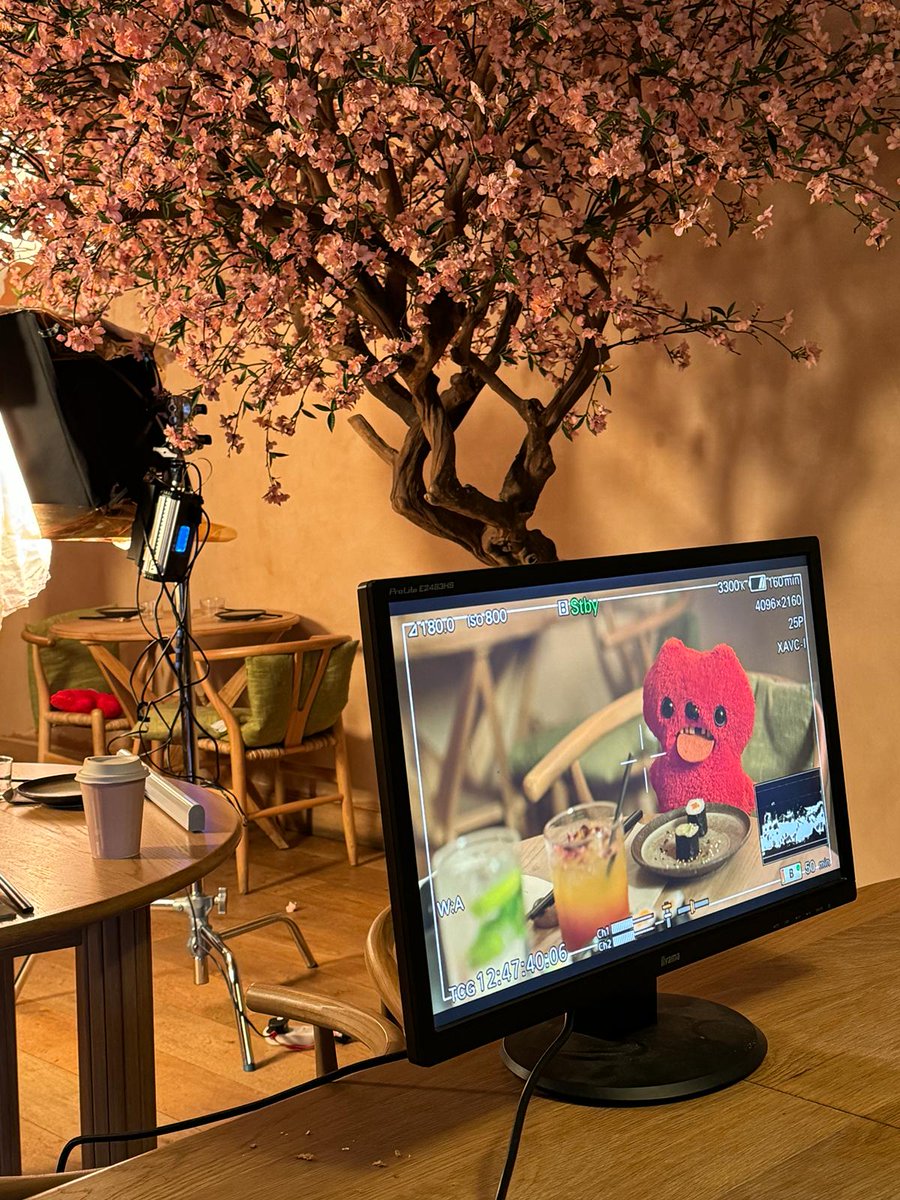 We had a fantastic time shooting our first batch of YouTube shorts for Fugglers last week!

Here’s a sneak peek of what to expect very soon 👀

#Fugglers #BrightonZoo 😋