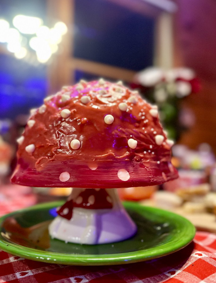 Fun Girl 🍄 tweet media