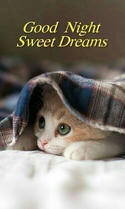 7raima8 tweet picture