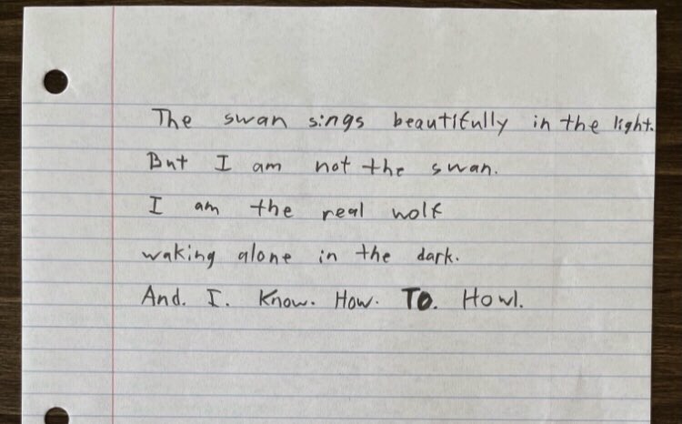 Joseph_Fasano_'s tweet photo. Lilly, age 8: https://t.co/AeTCQqJHaj