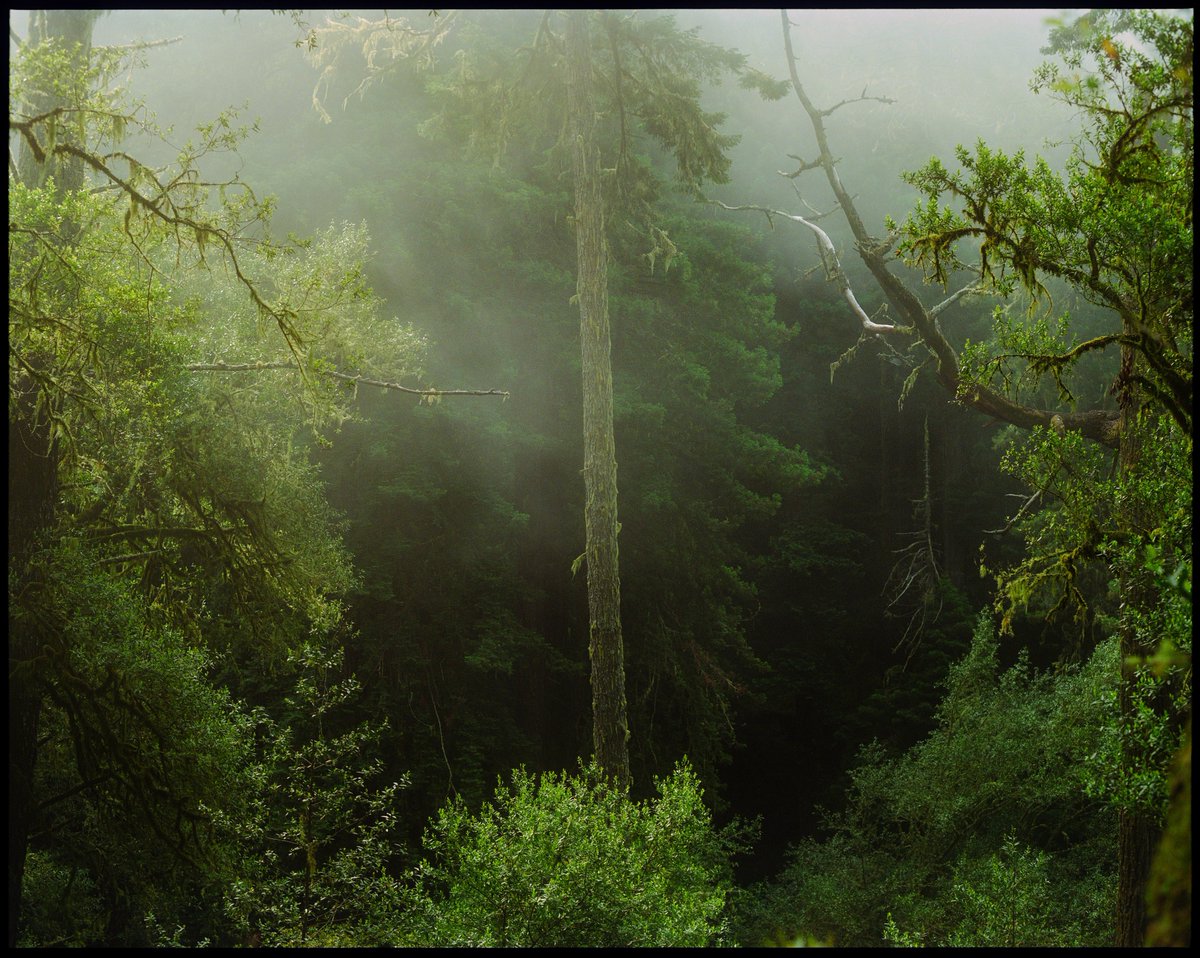 nickjrufo's tweet photo. Bearable silence https://t.co/L9bMO2OlZp
