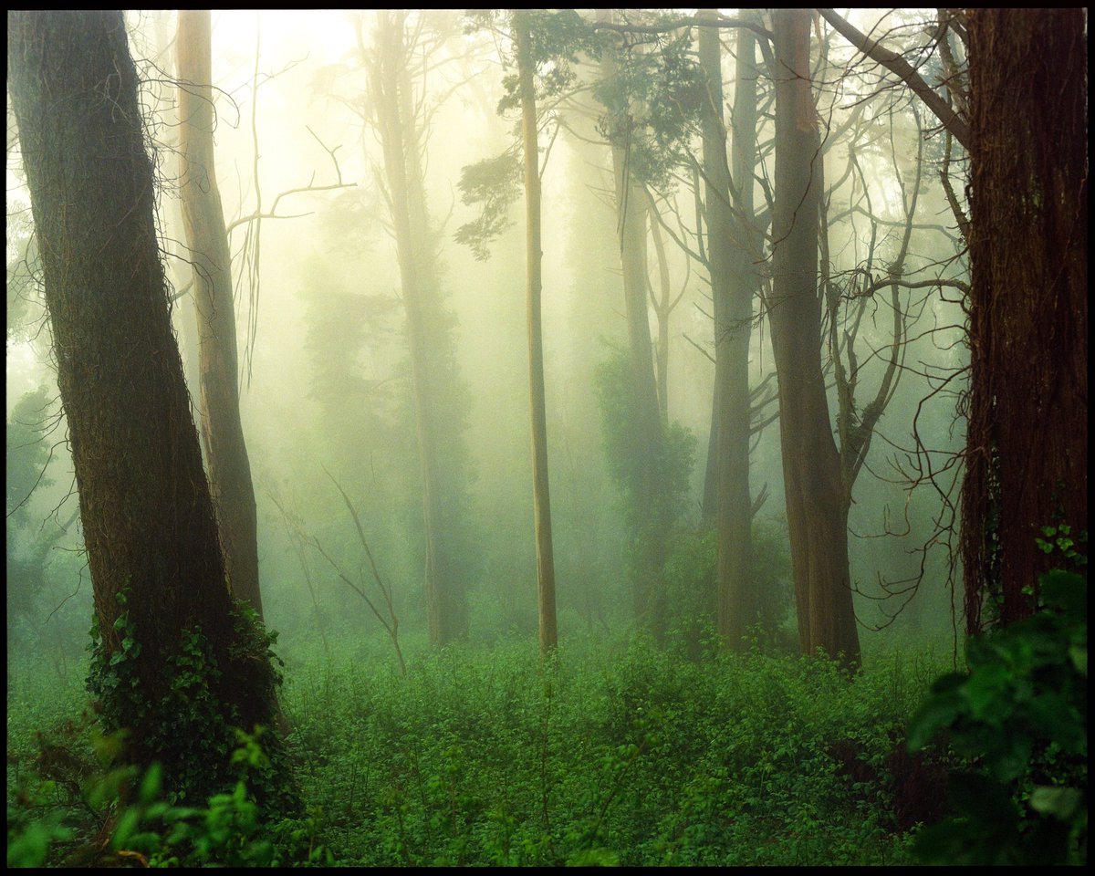 nickjrufo's tweet photo. Bearable silence https://t.co/L9bMO2OlZp