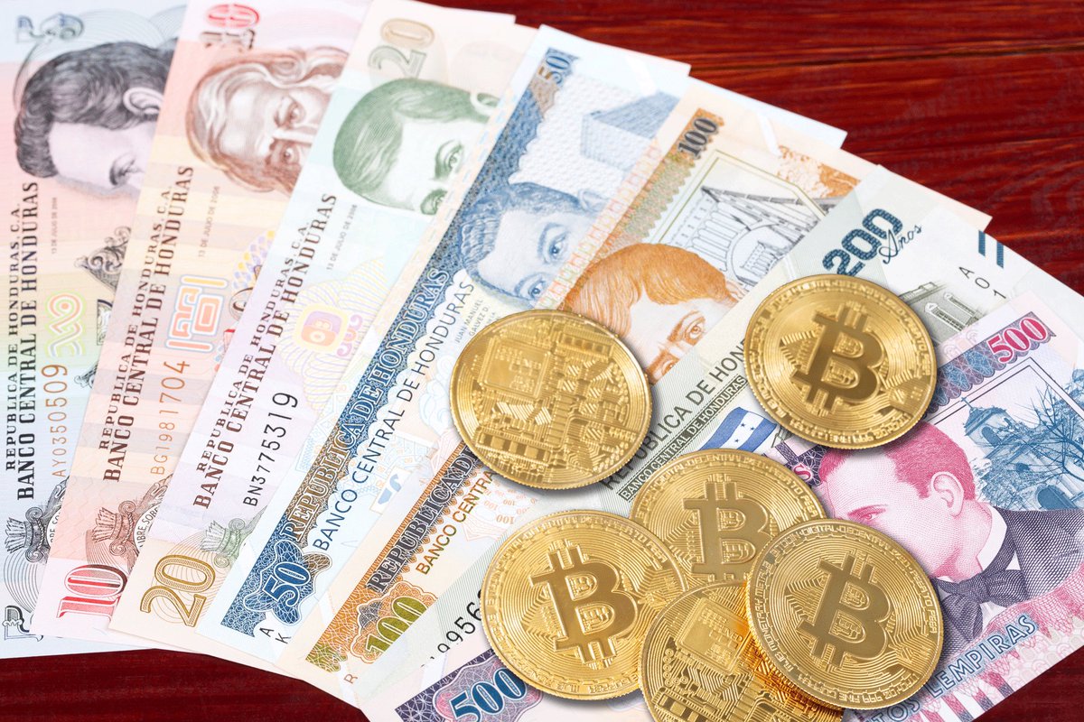 digerhn's tweet photo. La @cnbshonduras prohíbe a instituciones financieras operar con criptomonedas no autorizadas por @BancoCentral_HN según la circular 003/2024 se exige informar sobre riesgos en educación financiera. https://t.co/lrl7eF7b7V