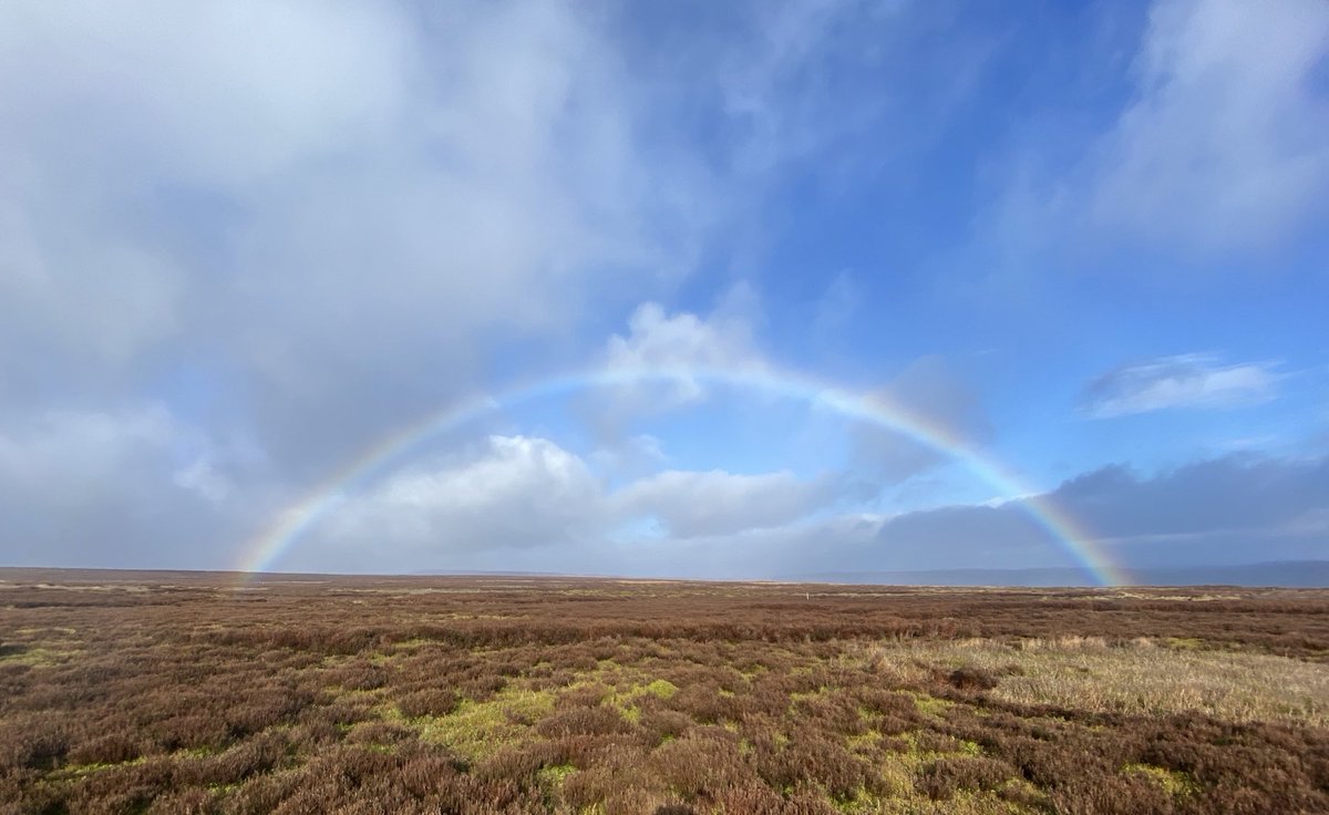 Finally a break in the weather surveying on Broomhead Moor