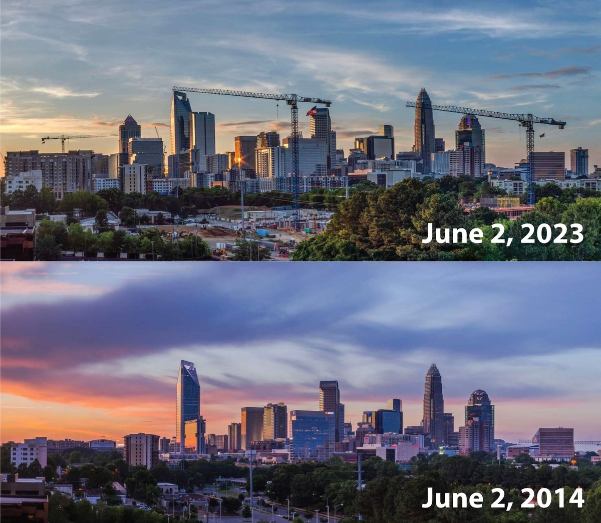 CLT Development's Campaign Committee tweet media