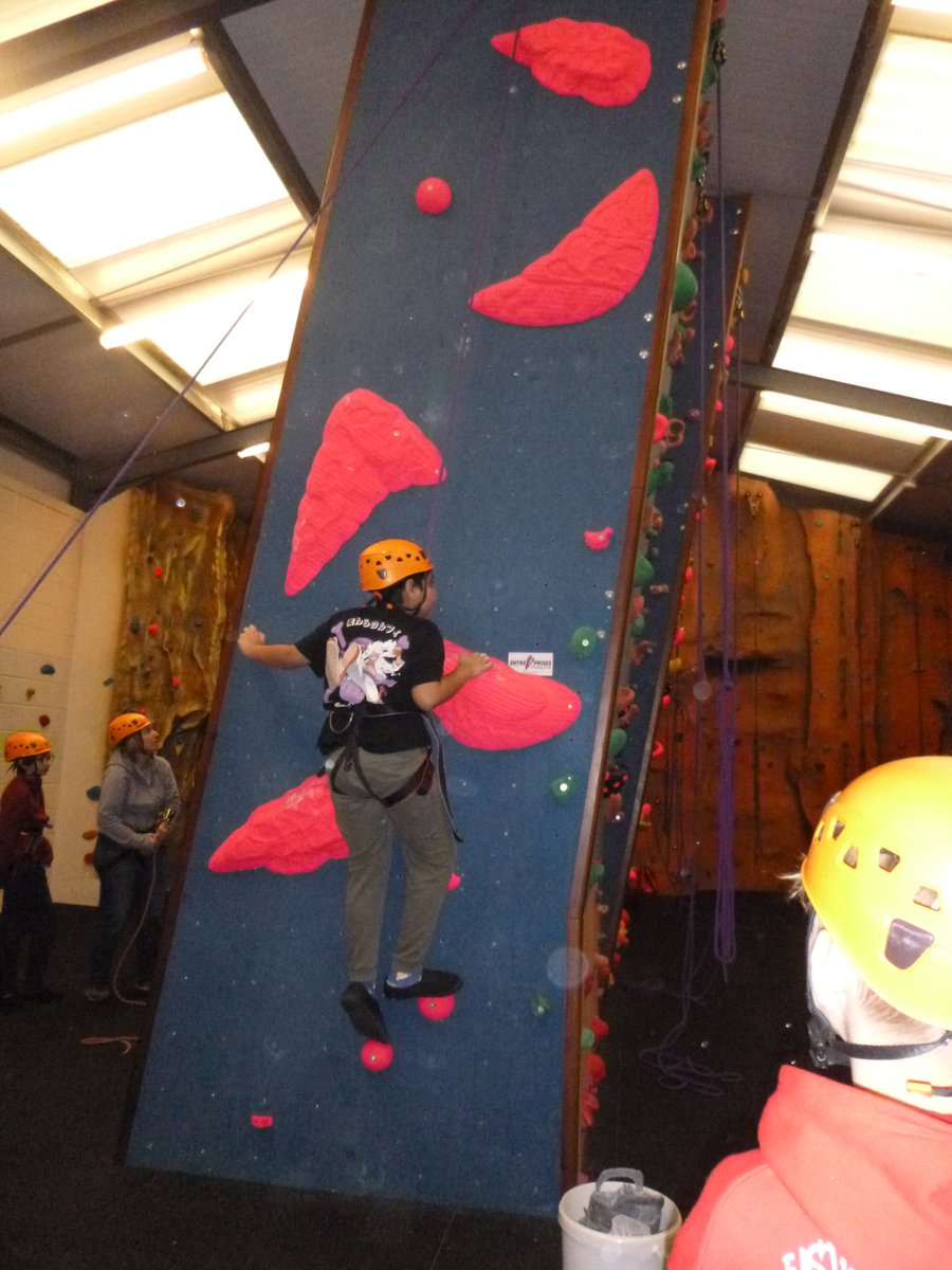 Trewern OEC tweet media