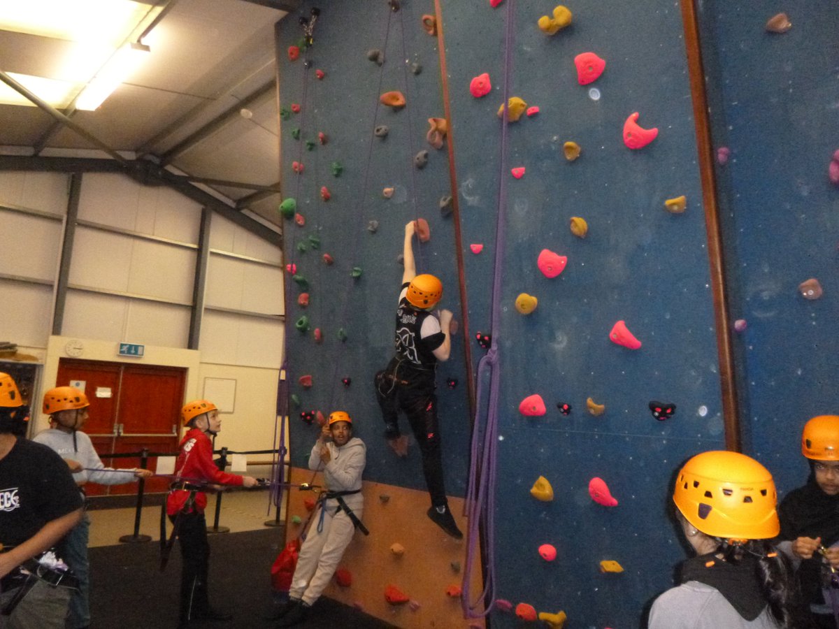 Trewern OEC tweet media