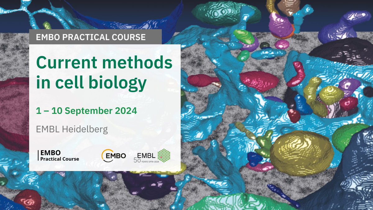 🦠💡 Join us for #EMBOCellBiology! The course aims to expose researchers with different backgrounds to the cutting-edge methods developed for #cellbiology.

📅 1 - 10 Sep 2024
📍 EMBL Heidelberg
✍🏻 Apply by 9 Jun

➡️ s.embl.org/cbb24-01

@BoSoxBioBeth