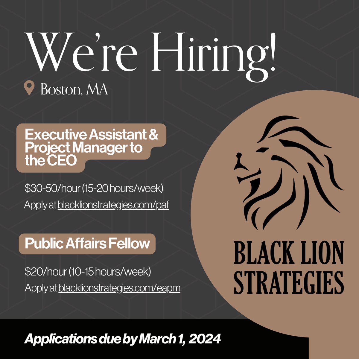 Passionate about #goodtrouble? Have what it takes to excel in a fast-paced social impact and public affairs consulting firm? We're #hiring at Black Lion! Executive Assistant and Project Manager to the CEO: blacklionstrategies.com/eapm Public Affairs Fellow: blacklionstrategies.com/paf