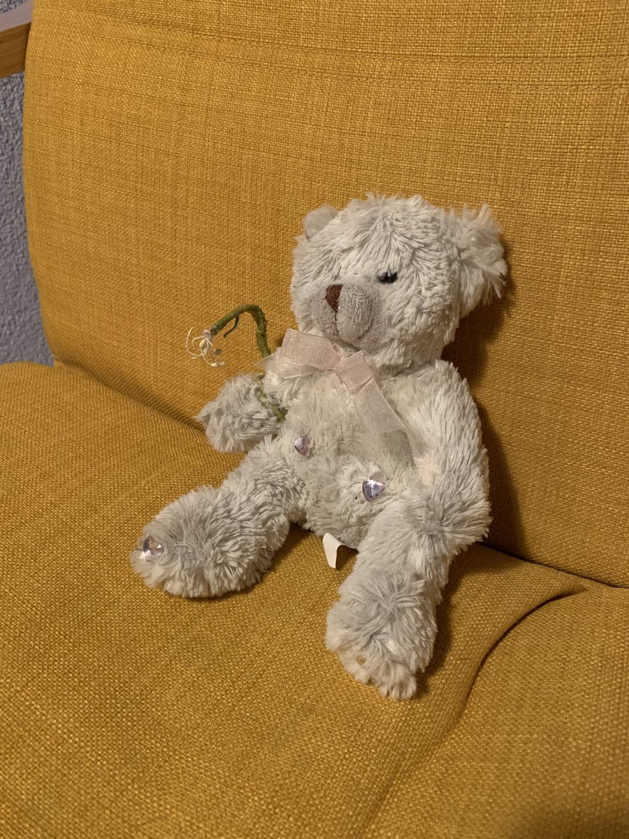 e_va_rosa's tweet image. Fundbär sass an der Bushaltestelle Rosengartenstrasse Richtung Albisriederplatz. Bringen wir ihn nach Hause!

#twittermagic